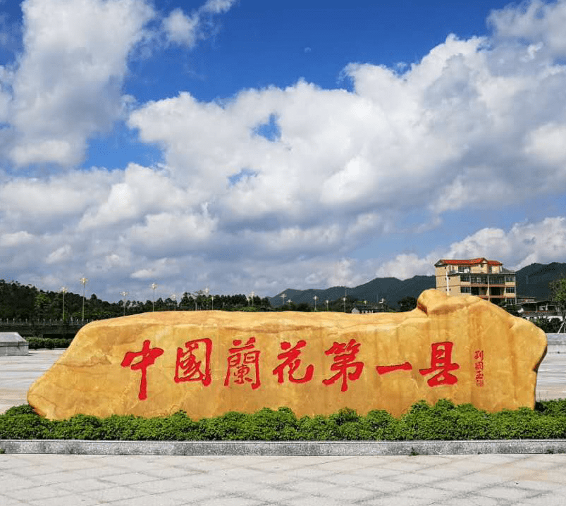 小编一定投票给翁源前往赏兰要选出一座最能代表兰花的城市便是花中四