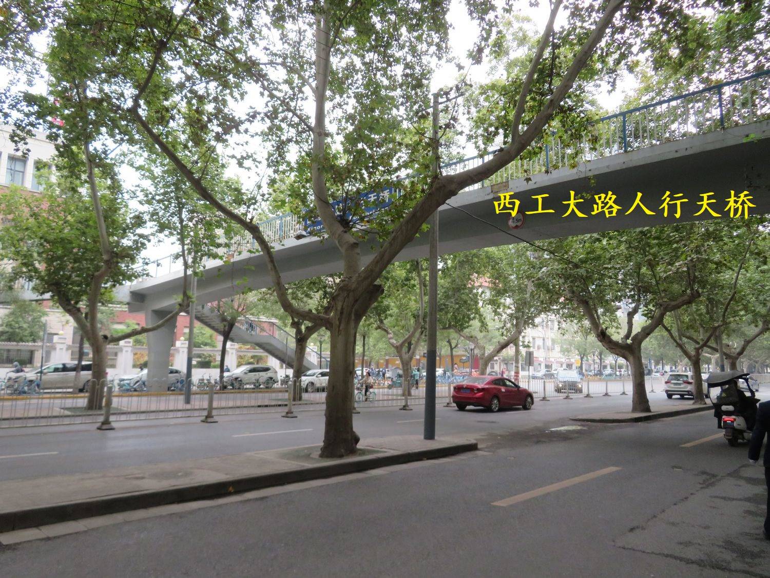 友谊路探访地铁盼法桐早日回归