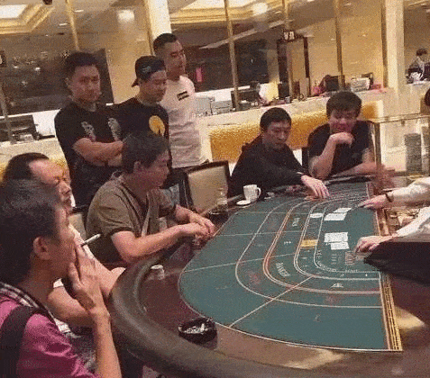 王思聪版澳门风云有多豪气富二代秦奋陪玩上亿筹码当欢乐豆