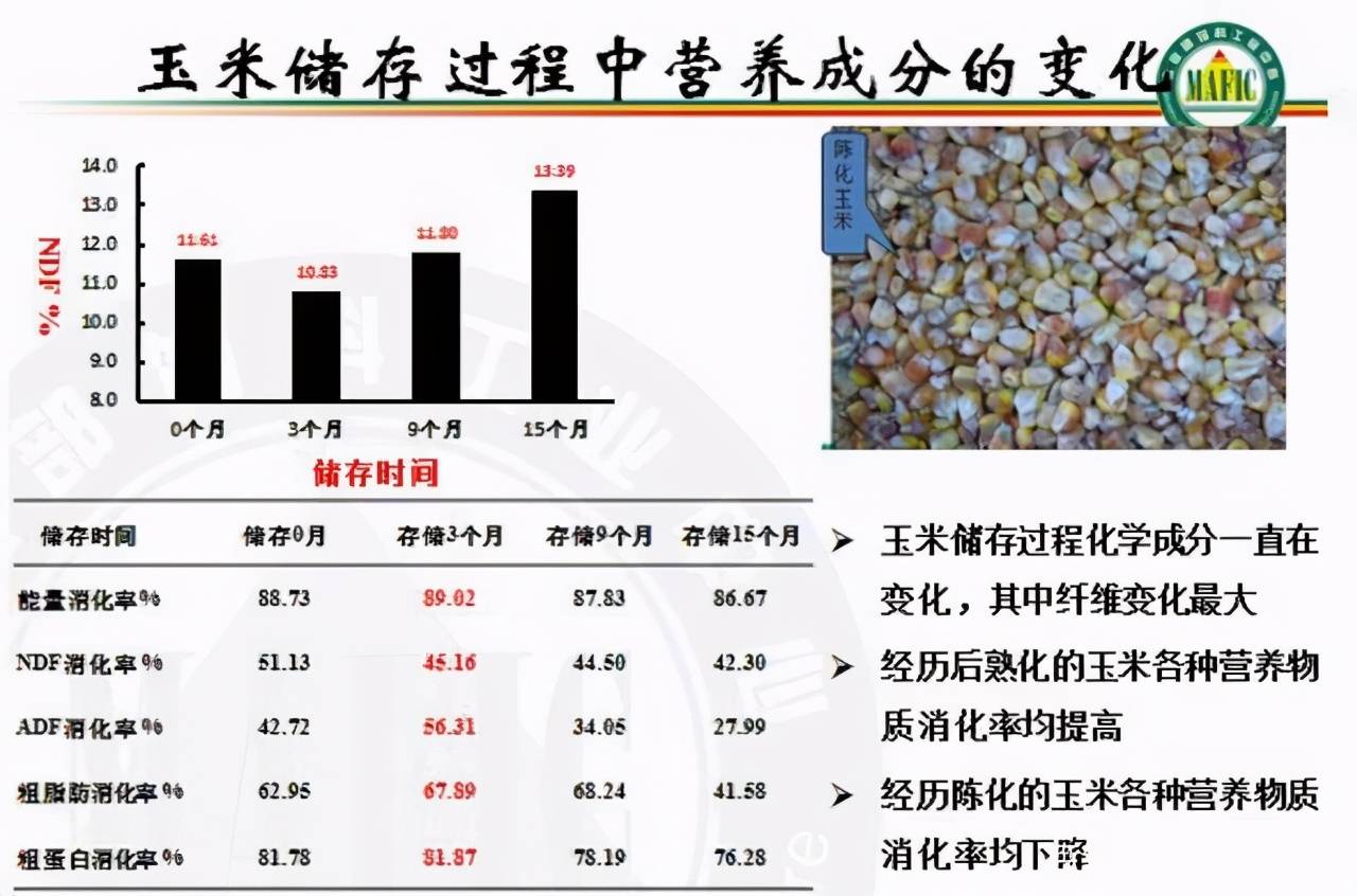 陈化粮及霉菌毒素对畜禽肝脏和生产性能的影响及使用策略