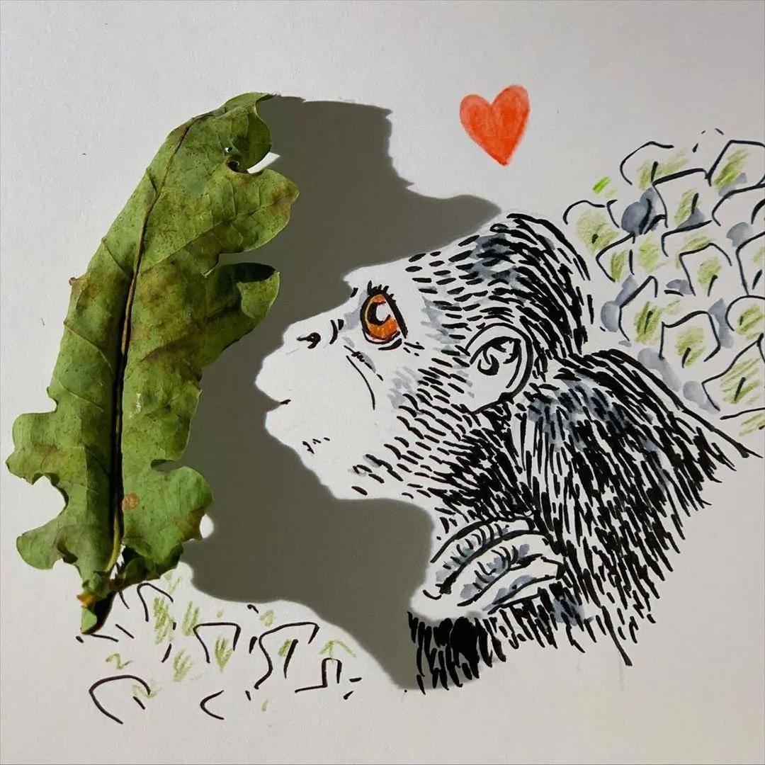 无论是几片树叶vincent bal又更新他的"影子画"了却才华满满的比利时