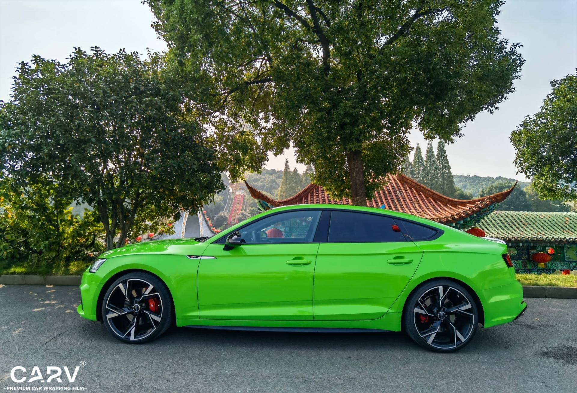 蝰蛇绿8006奥迪s5