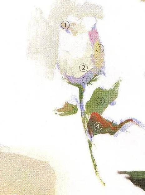 【推荐】水粉花卉的画法步骤|水粉花卉临摹步骤图(附全套视频教程下载