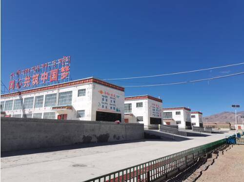 阿里地区措勤县完全小学见闻 :花朵齐放 共促团结