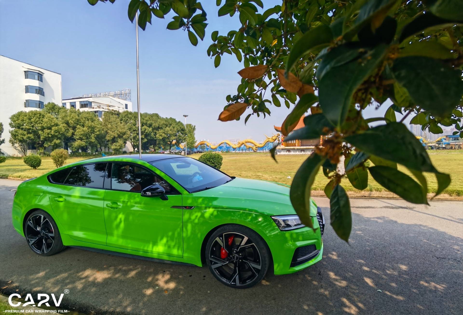 蝰蛇绿8006奥迪s5