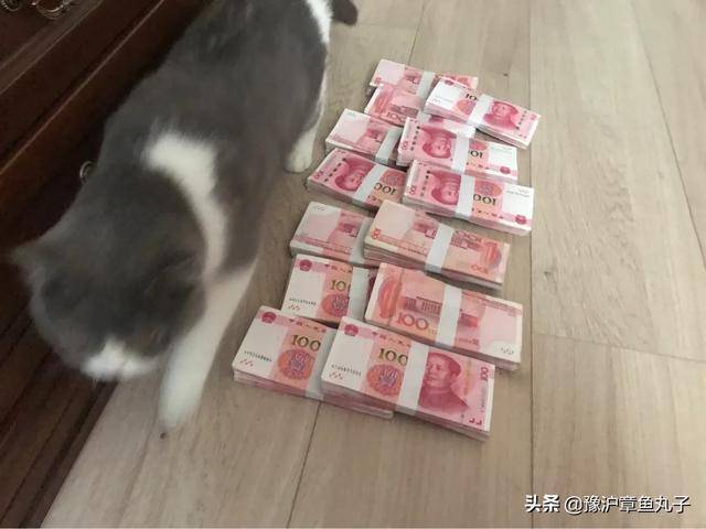 微信如何学习(导师微信学习只投资10米)