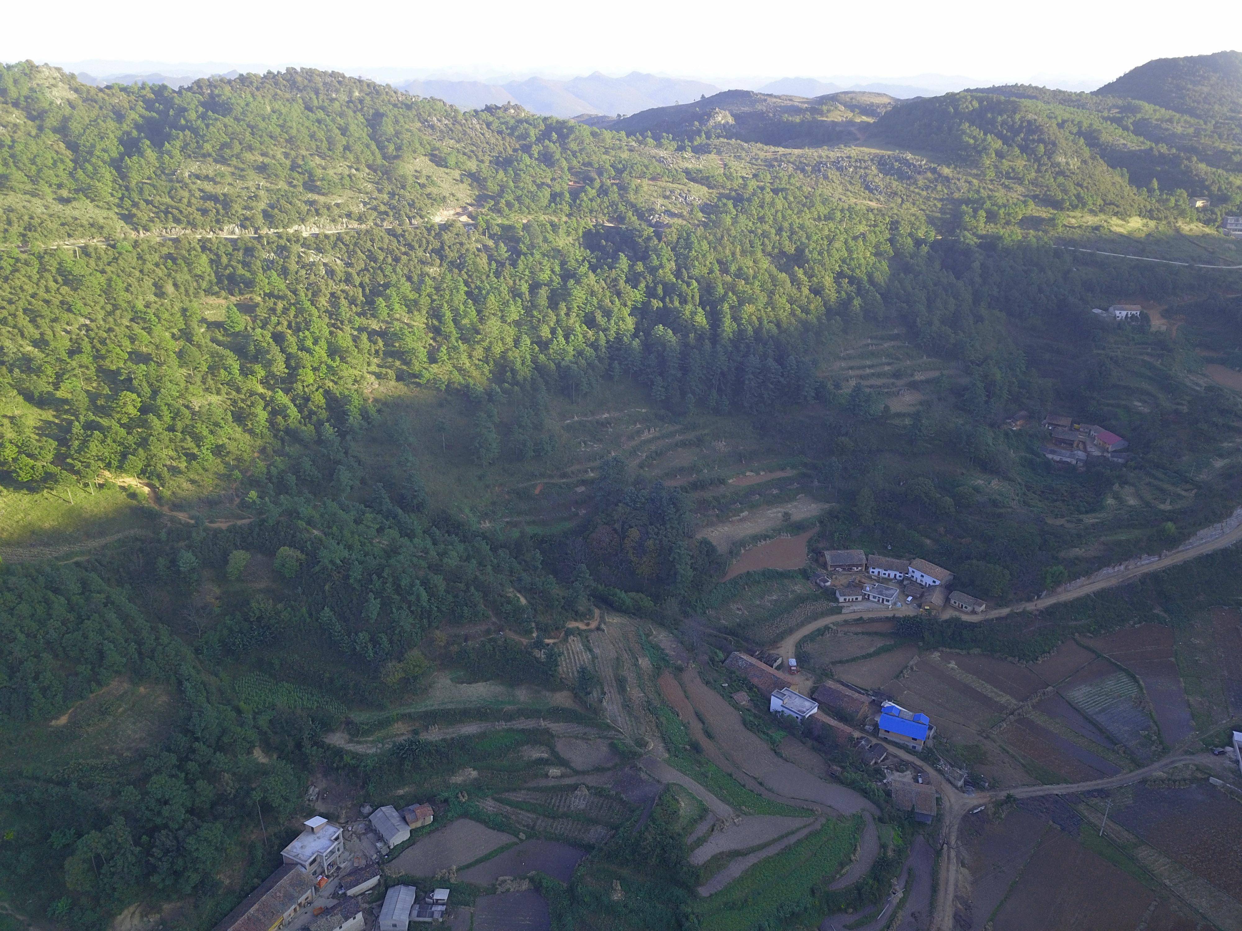 田坝乡田坝村图片图片