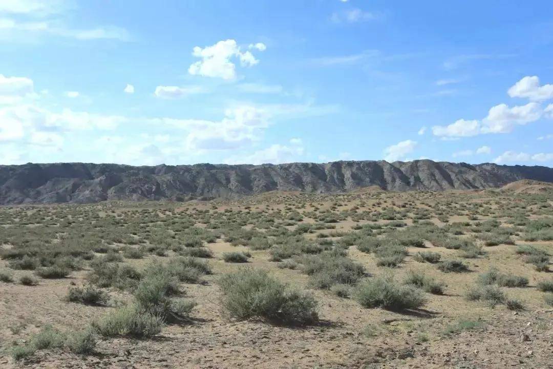 给退化的草原疗伤一群人一辈子的研究