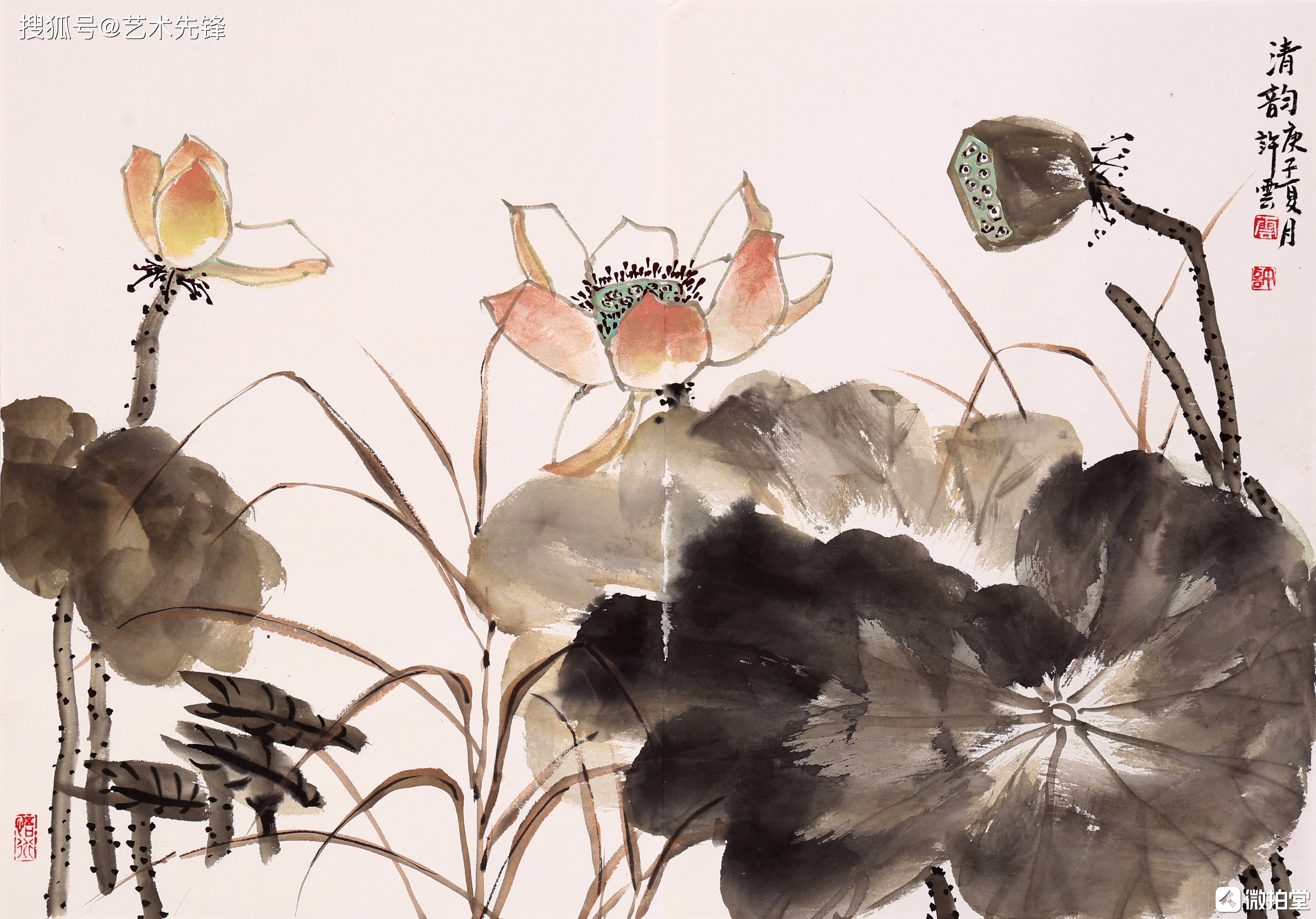 67许云:花鸟画中的大气象与小情调_手机搜狐网