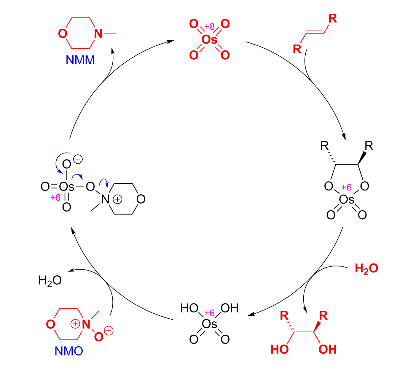 四氧化锇与烯烃发生[3 2]加成,生成锇酸酯中间体