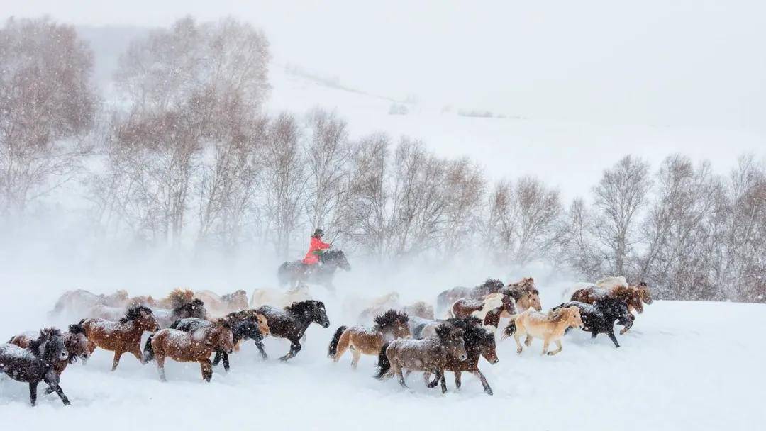 飒穿越乌兰布统林海雪原碰撞越野漂移闯进魔界看雾凇晨雾