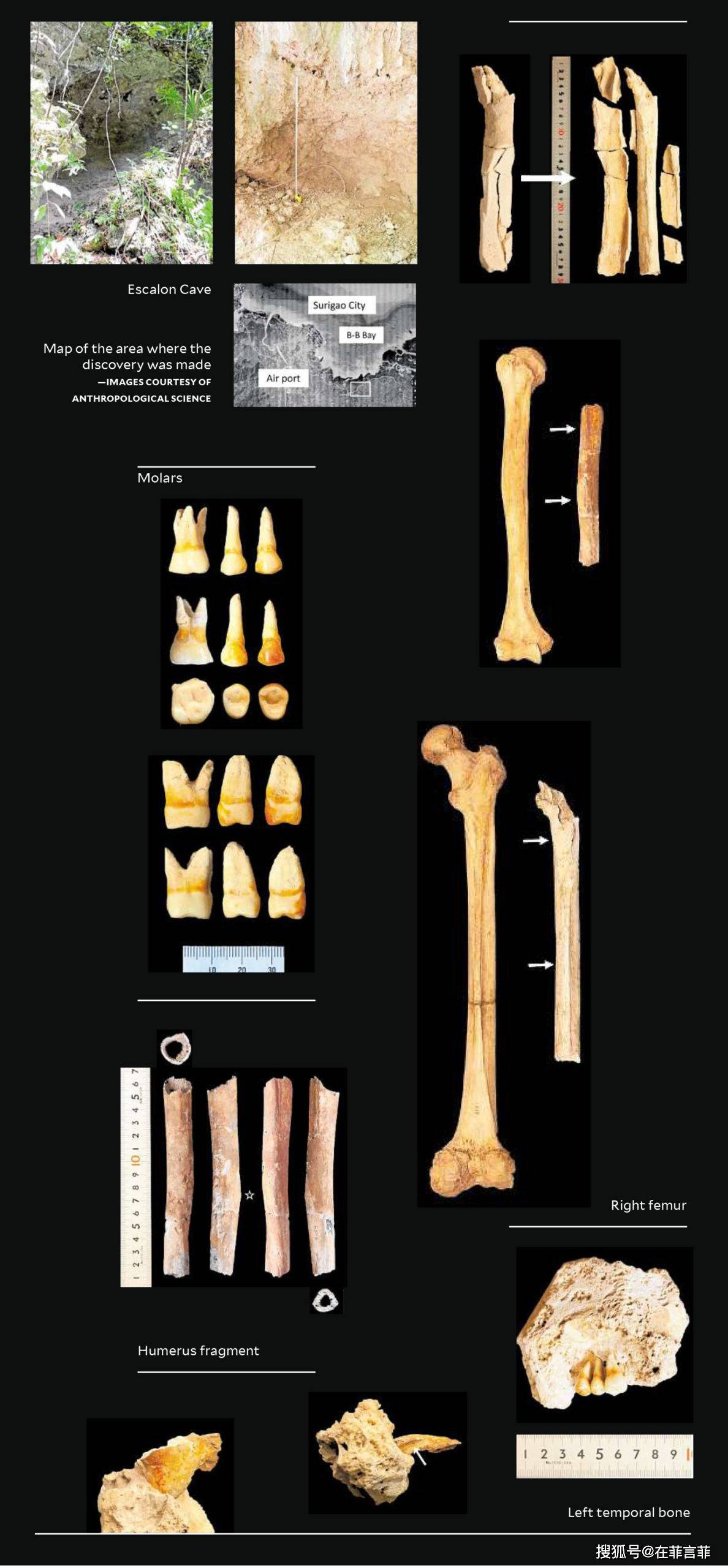 菲律宾树里爻洞穴发现新石器晚期人骨_手机搜狐网