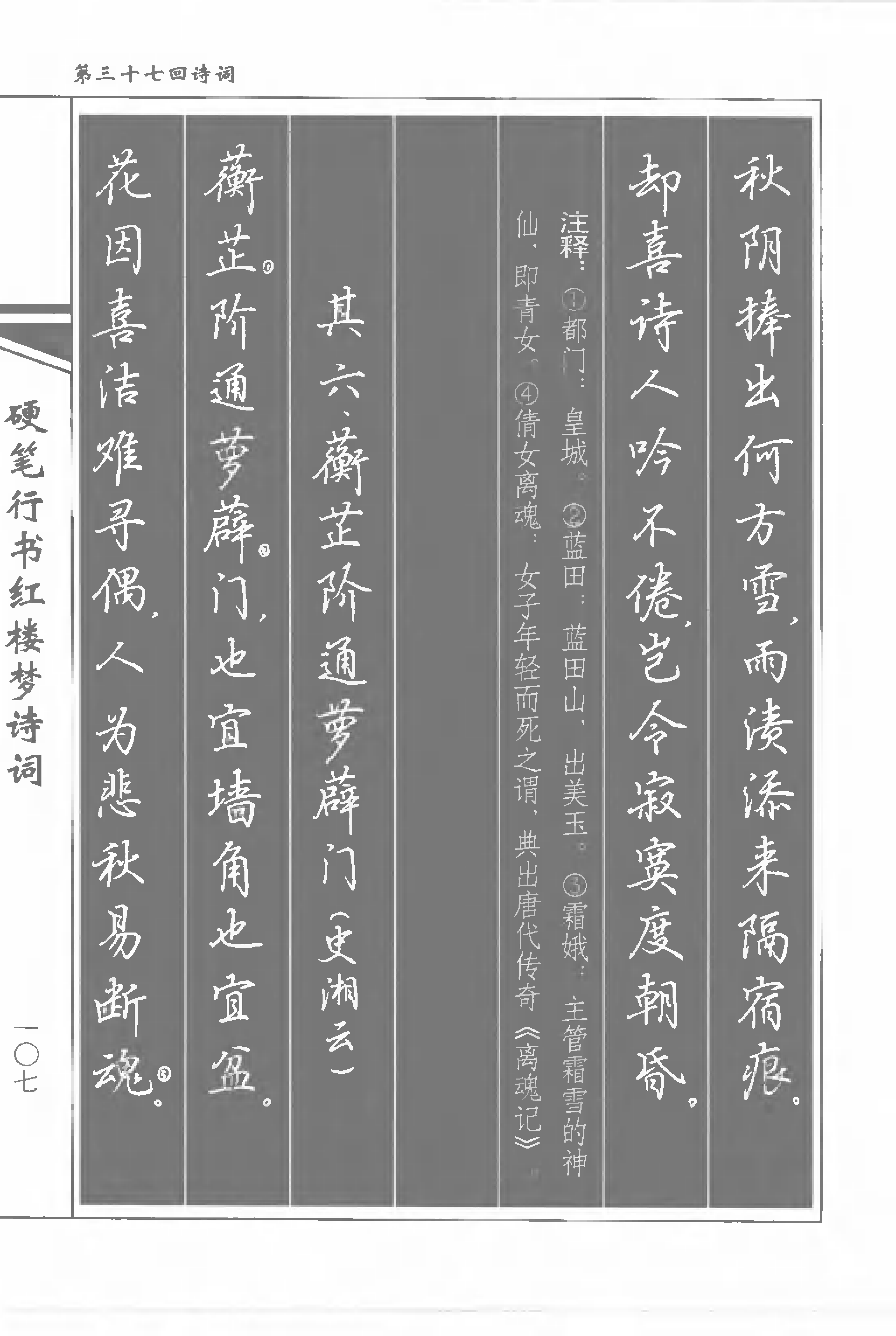 学习书法从学习《宗少林实用钢笔字》开始,我们的视频教程是从专业的