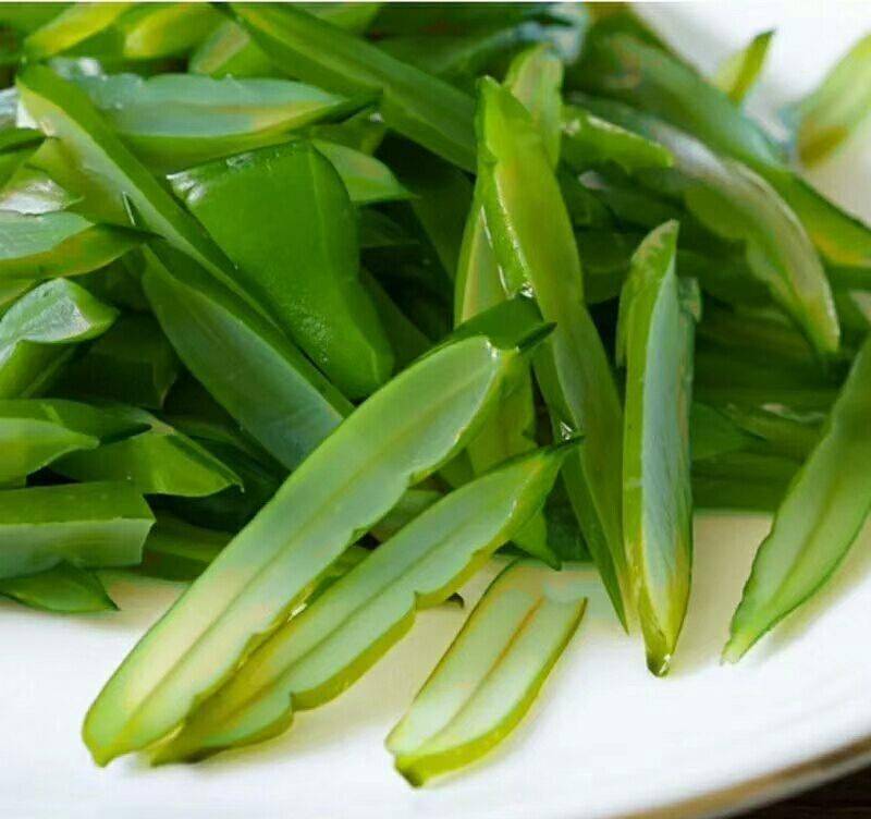 海白菜是藻类植物,又名海菠菜,海莴苣,海条,青苔菜等,为人们日常生活