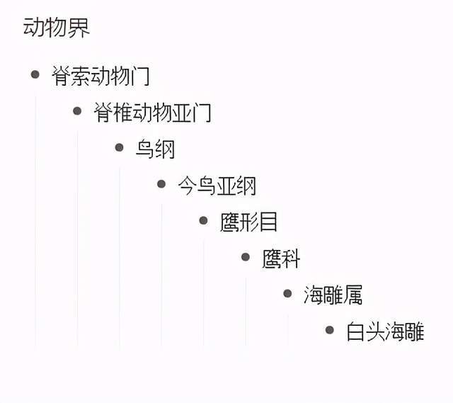 白头之争聊聊那个象征民主自由的家伙白头海雕