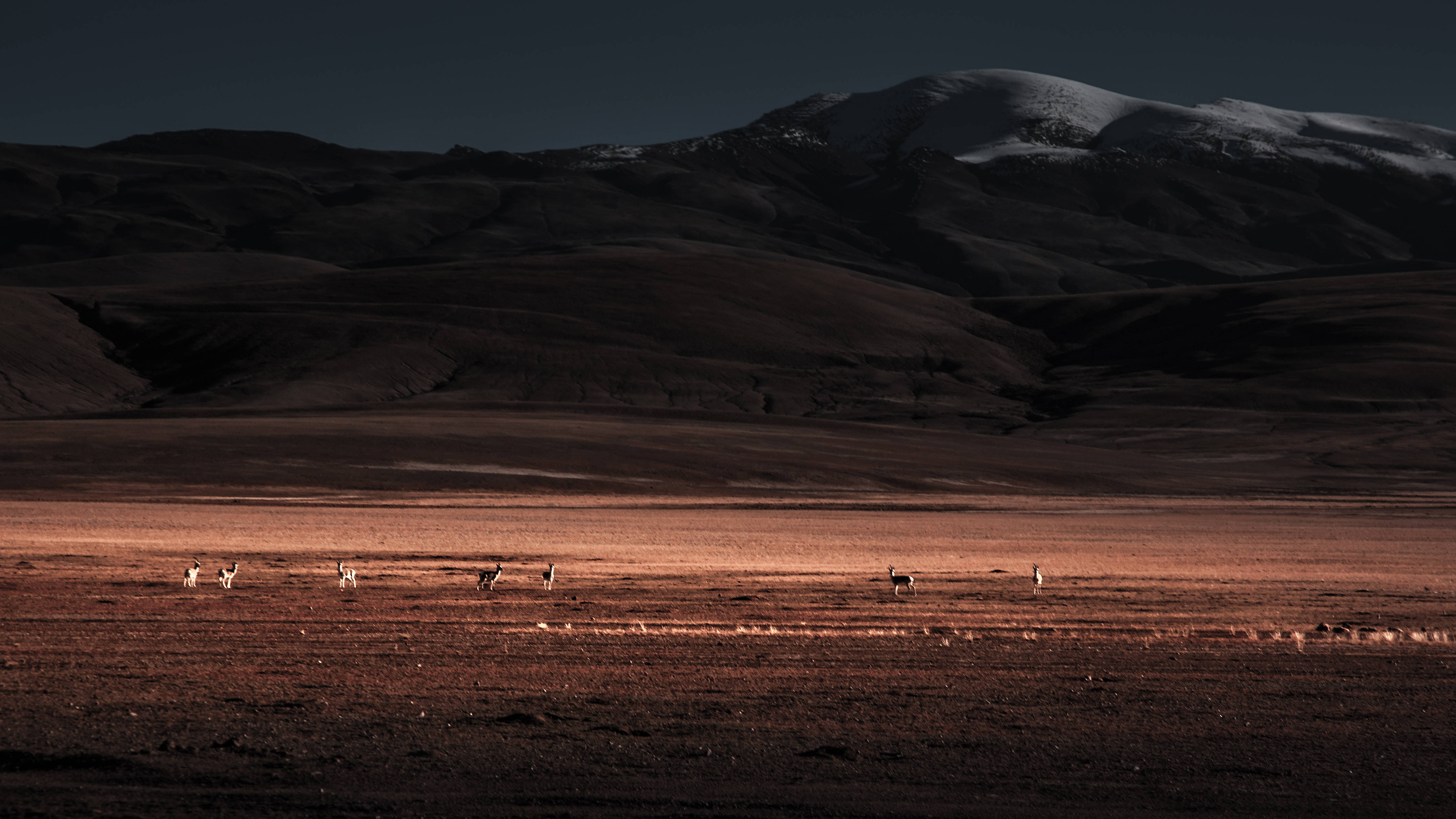香港中国旅游资深签约摄影师王隽斌的高级灰