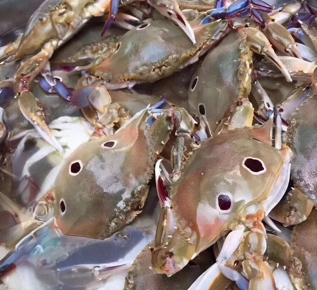 莆田太古汇,莆田万佳国际酒店,永安燕江酒店销售的螃蟹镉超标!