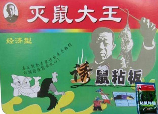 原创鼠王邱满囤一次性灭鼠35万只重达80吨年过半百再娶娇妻