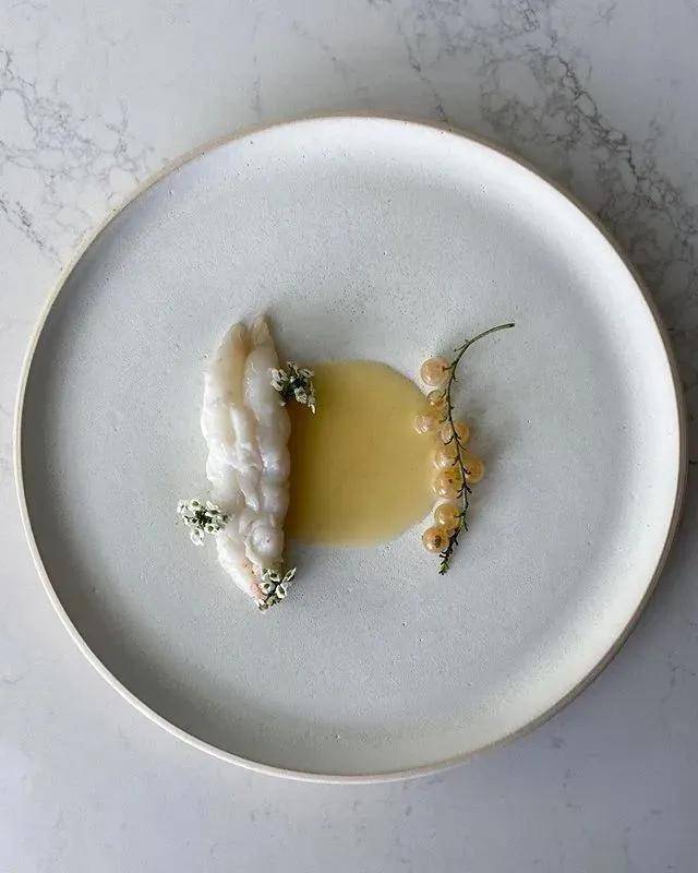 摆盘设计米其林餐厅先锋精致菜品239季