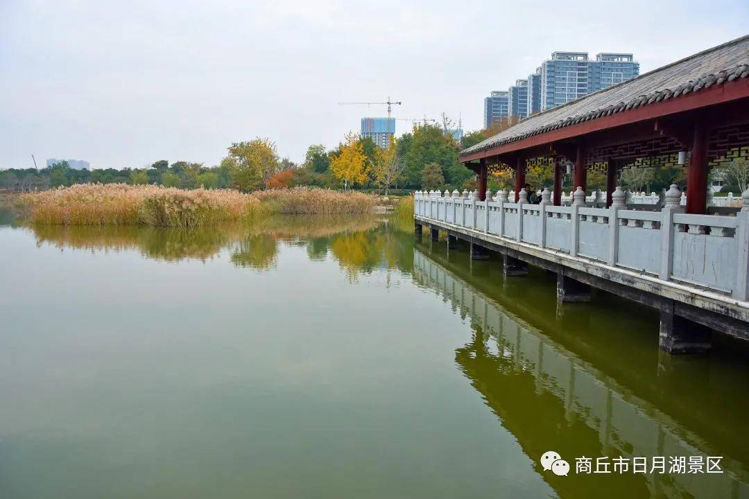 商丘市日月湖景区:看时光染林,观彩叶缤纷