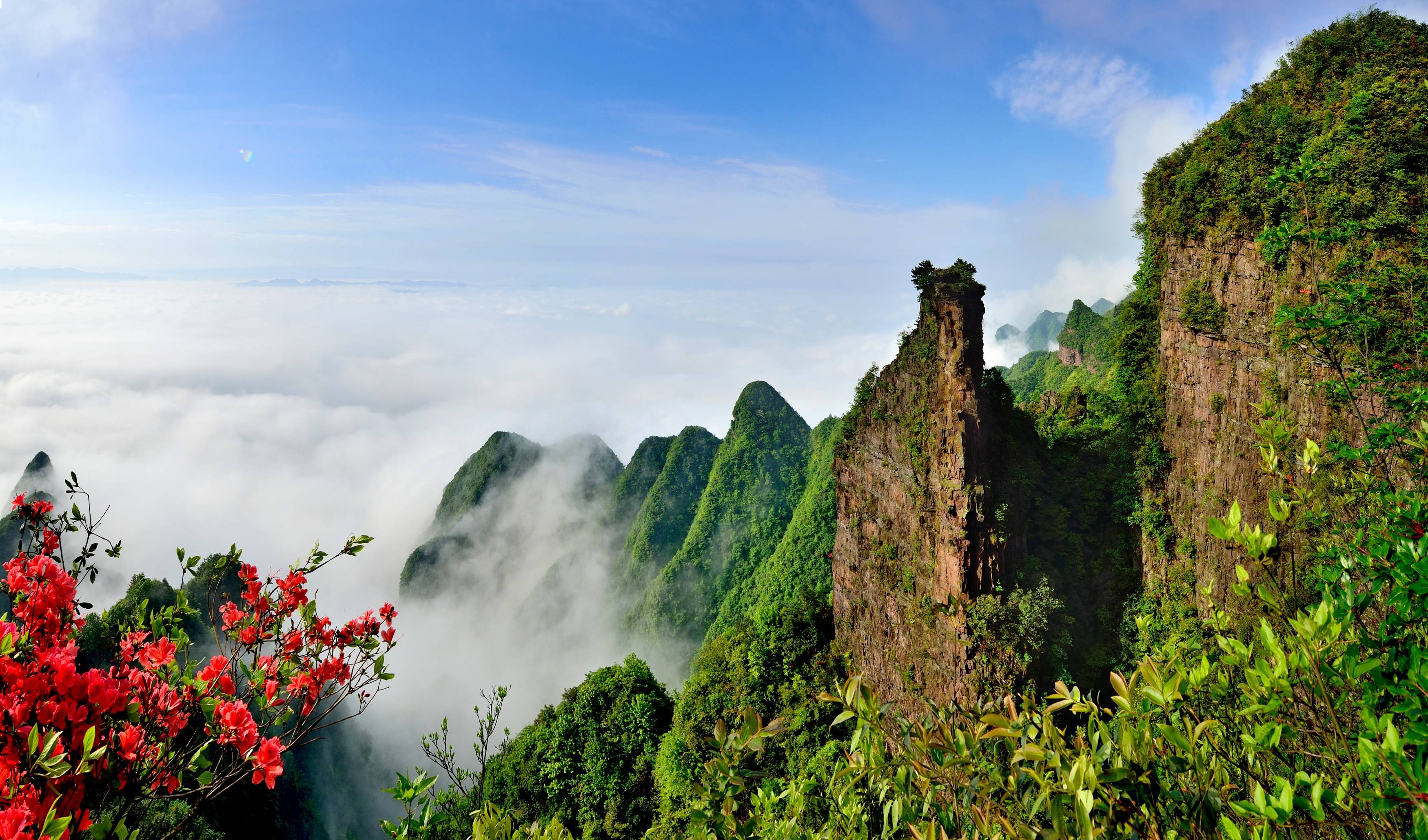 重庆东方山水图片