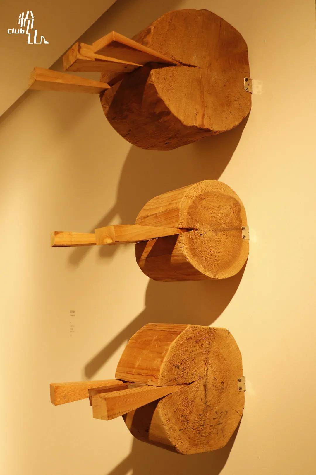 《楔子5号》木,尺寸可变,2019年