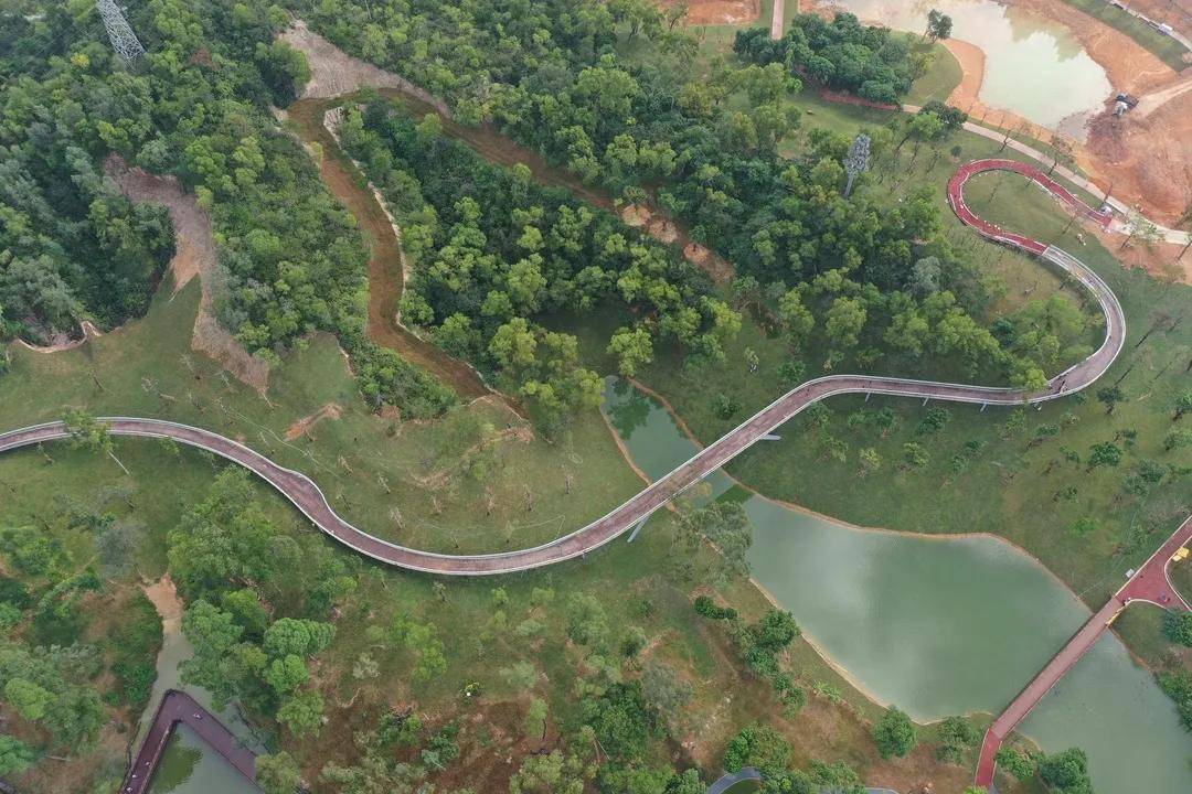 最新香山湖直通海天公園步行棧橋來了明天就能搶先體驗