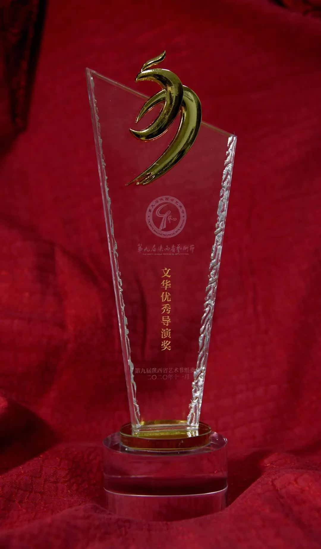 《张富清1948》导演杨君荣获文华优秀导演奖