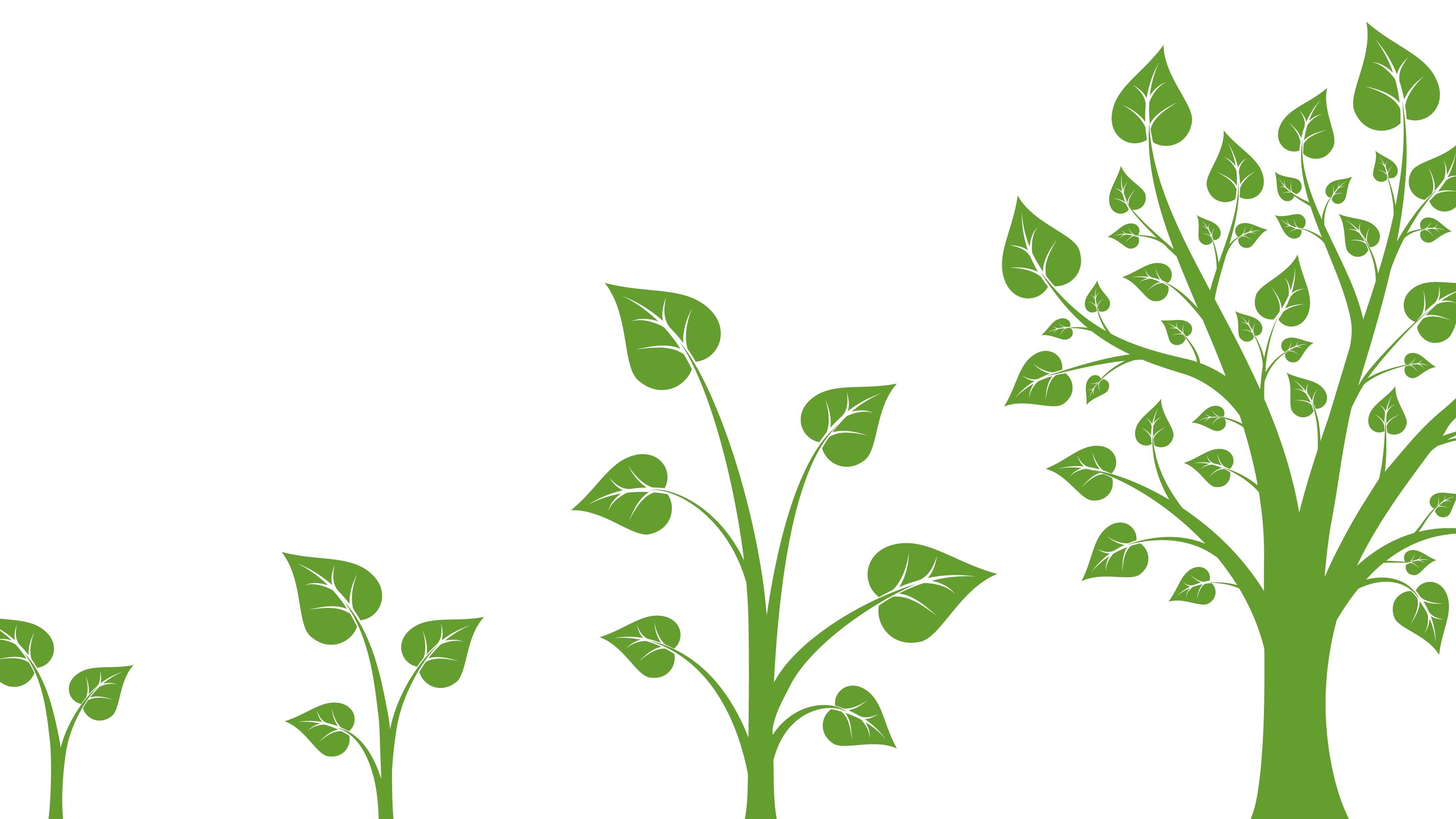 谷歌成立treecanopylab实验室以ai规划绿植