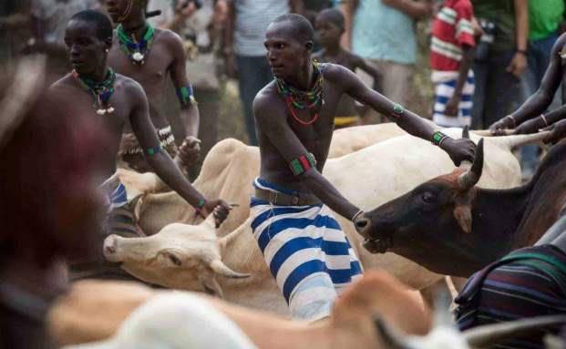 原创非洲最野蛮部落结婚当天新娘痛哭父母欣慰地在一旁观看