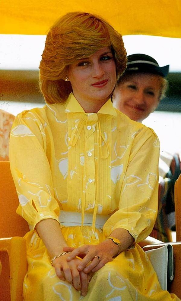 原创威廉发声明保护戴安娜王妃哈里不与哥哥一起为母亲而战太薄情