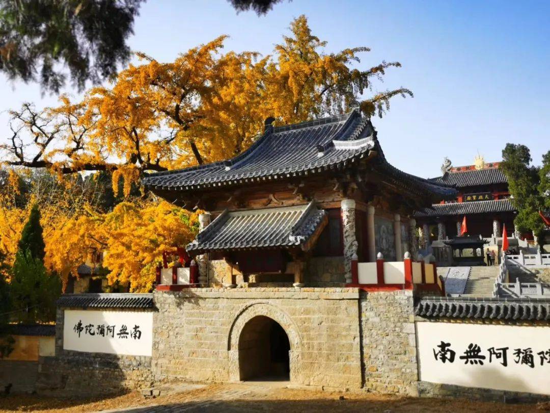 淄博这座隋唐时期的皇家寺院黄金满地张张都是冬景大片