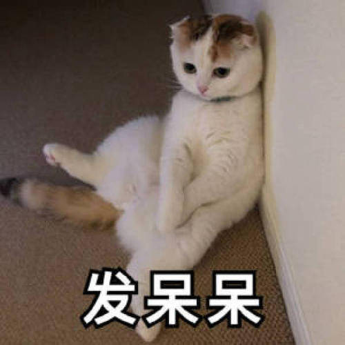 爆笑gif我是村里最靓的仔