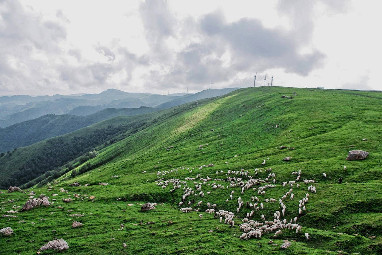 飞狐峪,位于蔚县城南20公里,中国最大的空中草原
