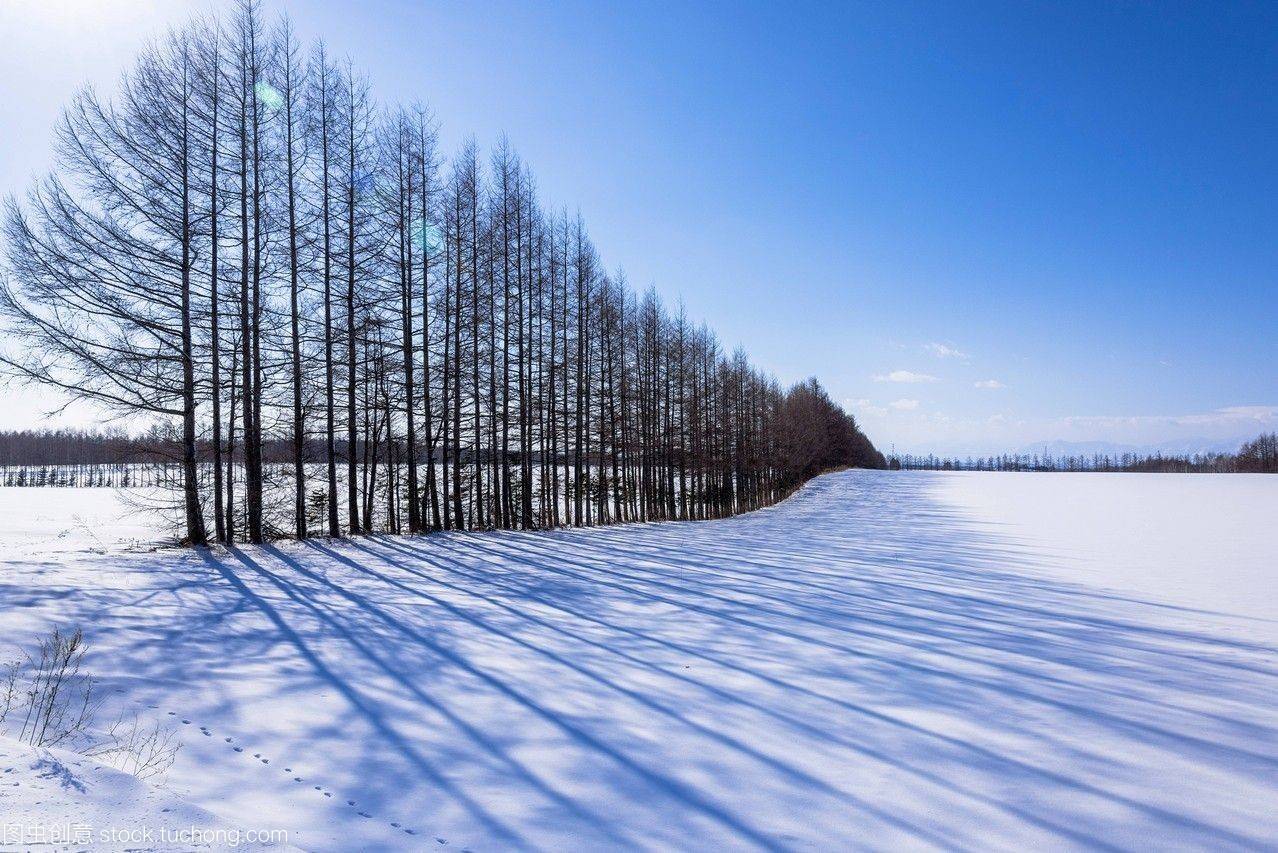 原创诗歌|配图: 网络