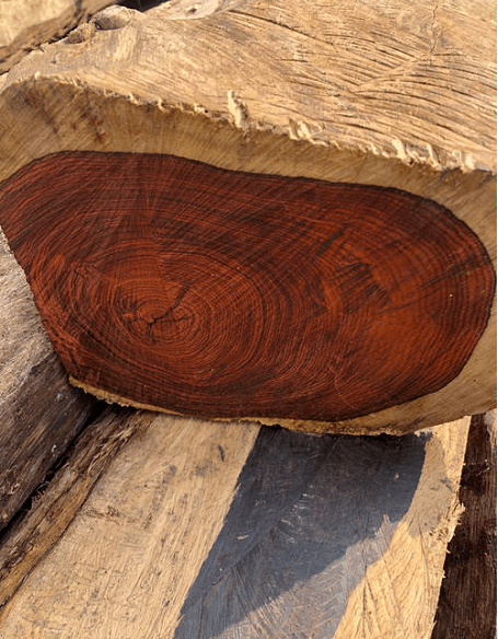 红木"老三样"被捧上神坛,且看这"8位选手"谁能脱颖而出?_黄檀