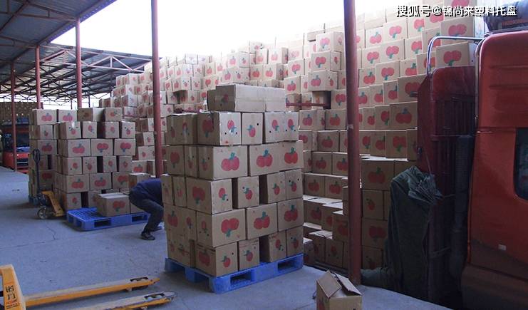 "冻龄"苹果增收10亿!塑料托盘在冷链物流保鲜系统派上大用场