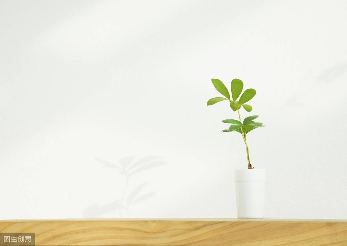 阳光向上的心语句子,精致唯美,正能量满满_什么