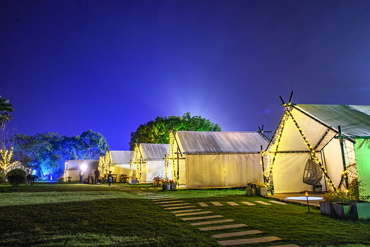 美呆了!这个低调的花海露营地,随手一拍就能刷爆朋友圈_花博