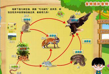 人们总是试图打破这种食物链,但却不知,这种做法其实是很蠢的.