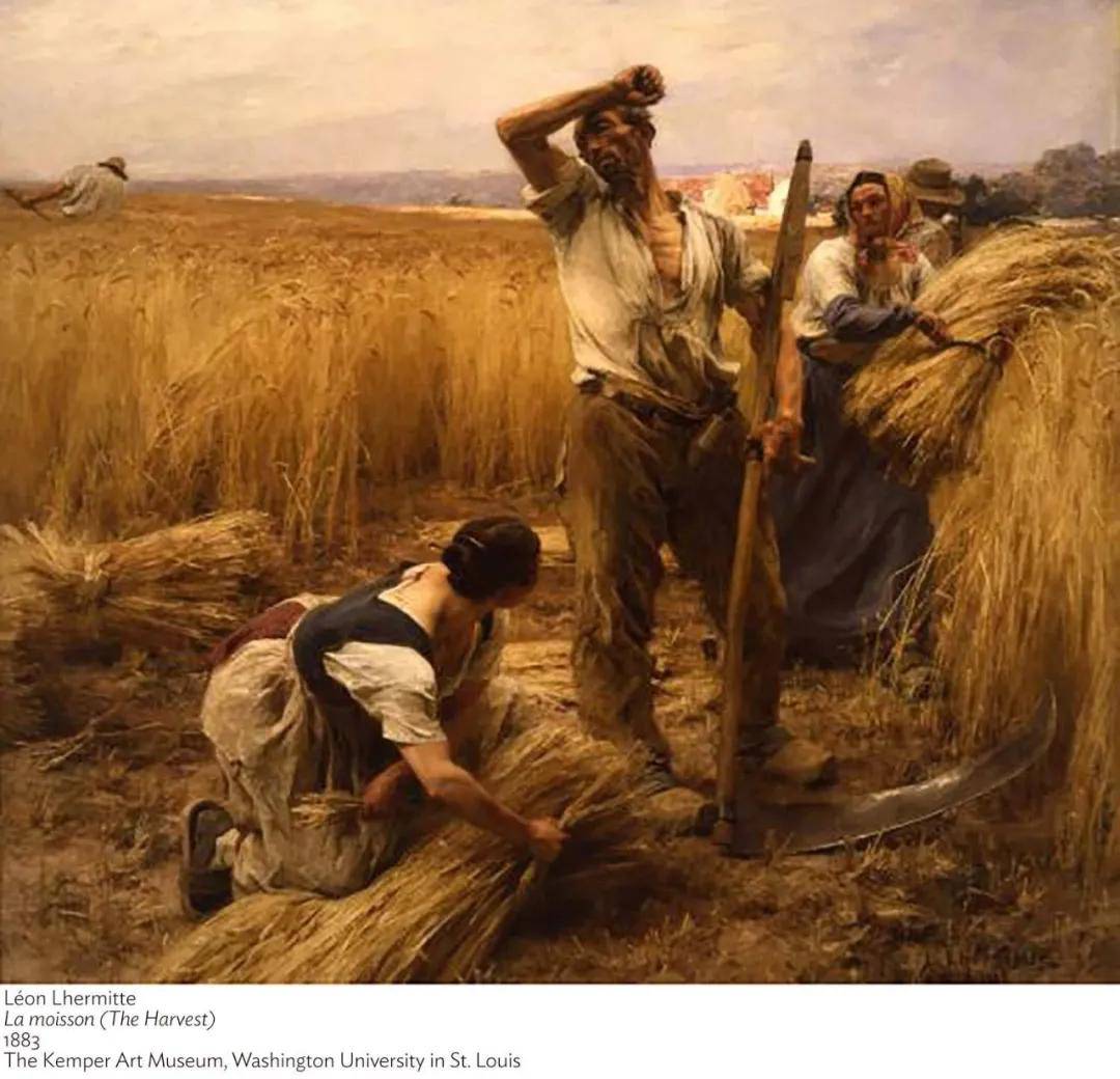 从都会到田间艺术家如何描绘收获与感恩