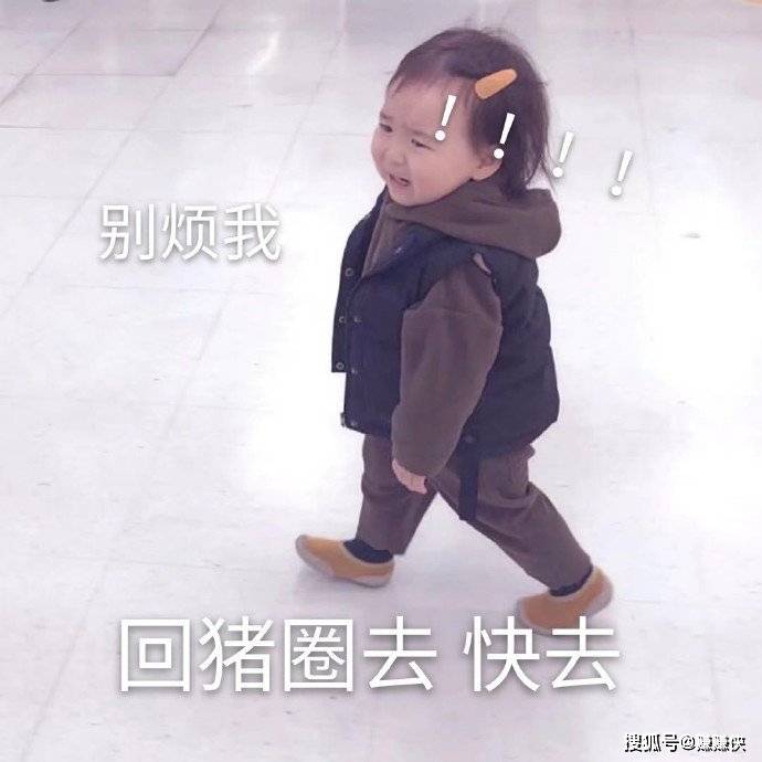 可爱表情包图片如此的可爱你见过吗