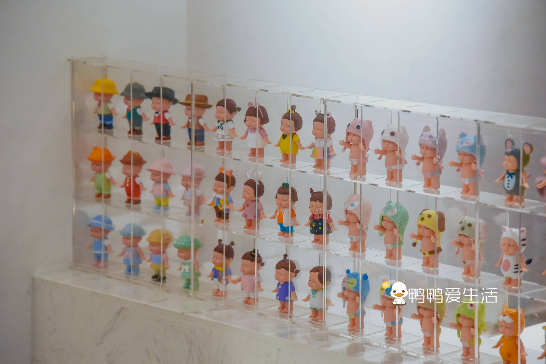 原创盲盒迷为之疯狂!厦门岛外南洋餐厅藏一面泡泡玛特墙,吃完乐哈哈