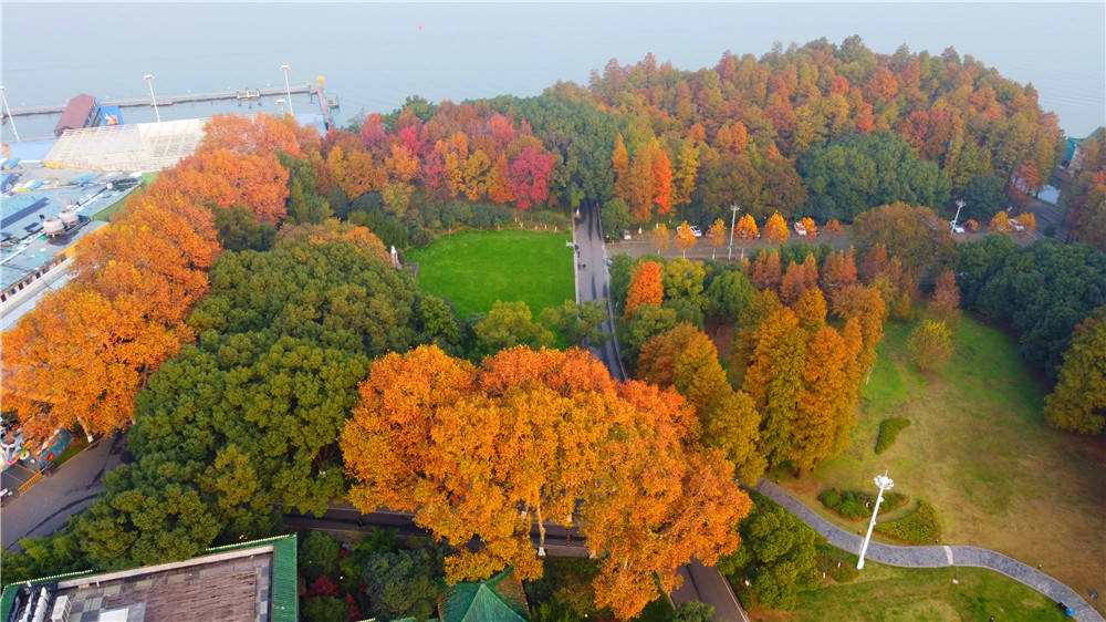 惠游湖北·航拍东湖听涛景区鲁迅广场初冬景色
