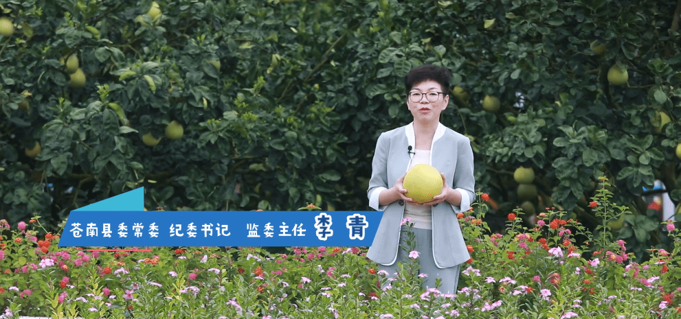 走进温州苍南_苍南县