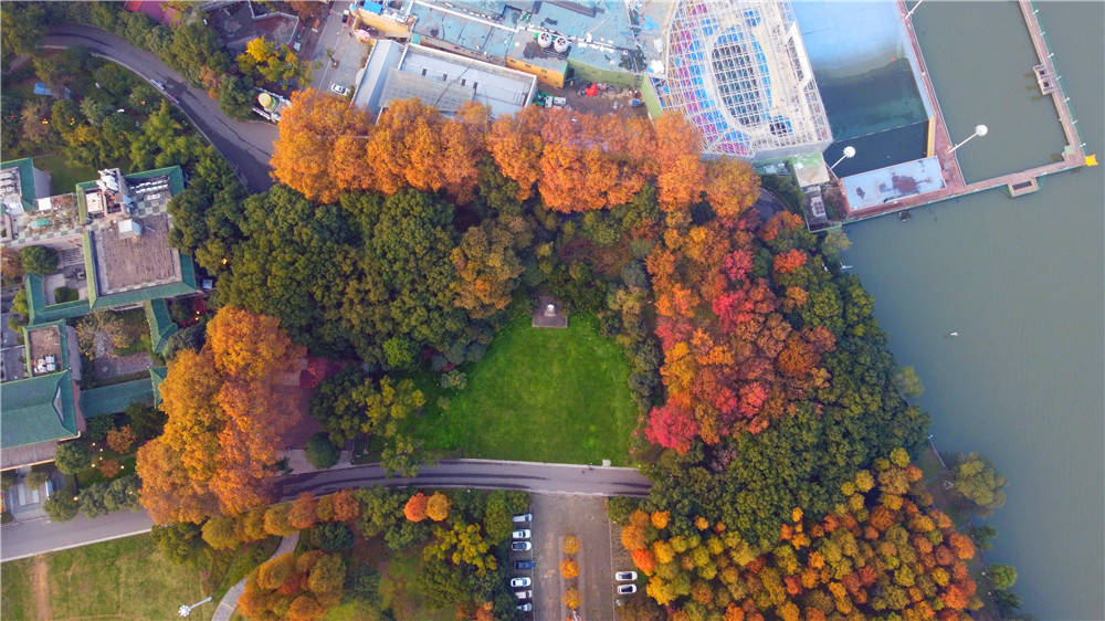 惠游湖北·航拍东湖听涛景区鲁迅广场初冬景色
