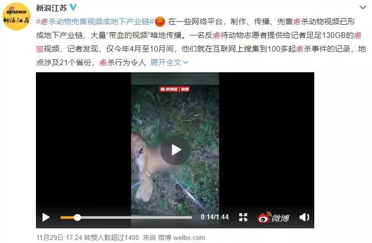 虐猫月入 4万,你永远想不到这些人有多变态