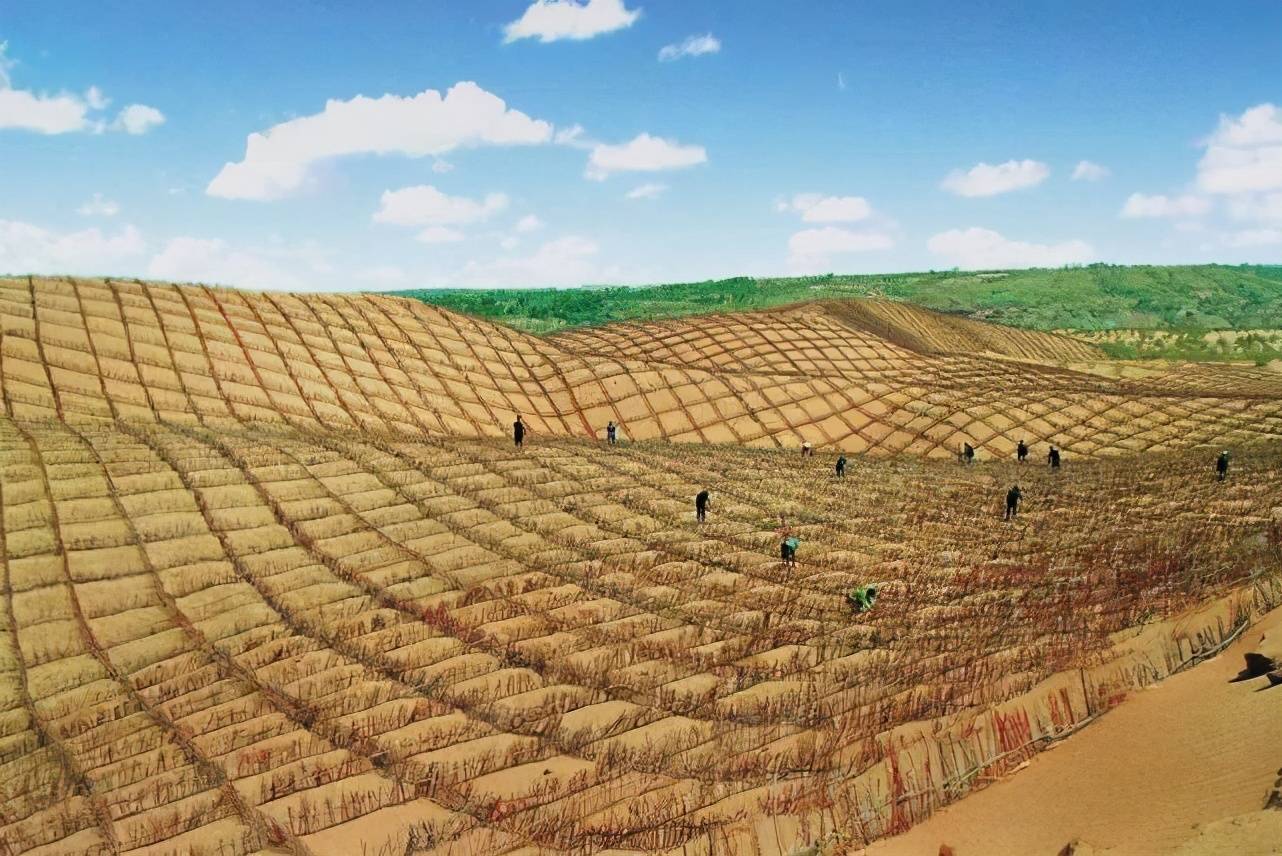 人定胜天中国成功消灭毛乌素沙漠征服大自然