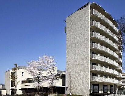 日本留学别科，日本别科留学条件