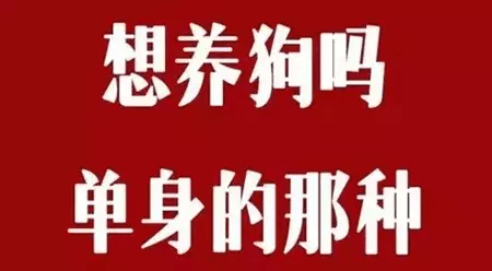原创白羊座,你活该单身,别不服!